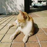 由 maddie8010 (刊登 ID 1272313111，圖片 1) 提交，位於 的 (類別：)，說明：。