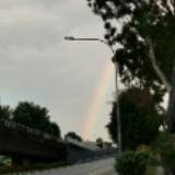 (Category: ) located in . Submitted by gurei102 (Listing ID 1373298149, Image 1). Description: .