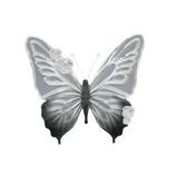 （分類：）位於 。 由 butterflyonlineins 提交（商品編號 1289887271，圖片 1）。簡介： 。