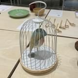 由 Ts0707 (刊登 ID 1381050289，圖片 1) 提交，位於 的 (類別：)，說明：。