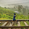 (Kategori: ) berada di . Dikirim oleh greendofer06689 (ID iklan 1385284216, Gambar 1). Deskripsi: .