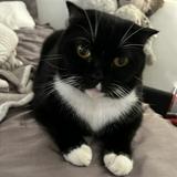 (Category: ) located in . Submitted by mistertux (Listing ID 1293450090, Image 1). Description: .