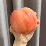 由 pinkpeachyo (刊登 ID 1351294358，圖片 1) 提交，位於 的 (類別：)，說明：。