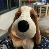 由 poodlepipi (刊登 ID 1337868088，圖片 1) 提交，位於 的 (類別：)，說明：。