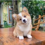 (Category: ) located in . Submitted by serendipity_95 (Listing ID 1375734335, Image 1). Description: .