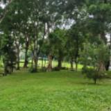 (Category: ) located in . Submitted by van.km (Listing ID 1373641752, Image 1). Description: .