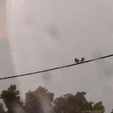 (Category: ) located in . Submitted by tnmaryam (Listing ID 1403336975, Image 1). Description: .