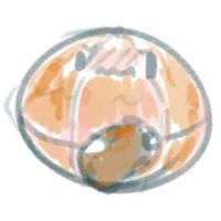 由 fb31604625161 (刊登 ID 1385017396，圖片 1) 提交，位於 的 (類別：)，說明：。