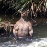 (Category: ) located in . Submitted by frncistapar (Listing ID 1381612295, Image 1). Description: .