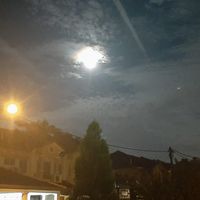 (Category: ) located in . Submitted by michael1715 (Listing ID 1447473919, Image 1). Description: .