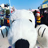 由 snoopynwoo58319 (刊登 ID 1467701296,圖片 1) 提交,位於 的 (類別:),說明:。