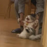 (Category: ) located in . Submitted by hannahbekr08859 (Listing ID 1378789385, Image 1). Description: .