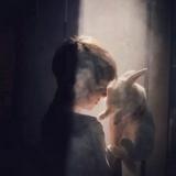 由 kacau.0020 (刊登 ID 1384198864，圖片 1) 提交，位於 的 (類別：)，說明：。