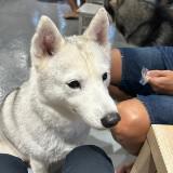 (Category: ) located in . Submitted by bhtan24 (Listing ID 1386028830, Image 1). Description: .