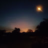 (Category: ) located in . Submitted by nepp49 (Listing ID 1408894728, Image 1). Description: .