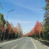 (Category: ) located in . Submitted by shaoyimo (Listing ID 1376936702, Image 1). Description: .