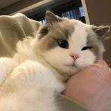 (Category: ) located in . Submitted by pm_dk (Listing ID 1367507408, Image 1). Description: .