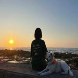 由 4953b744002 (刊登 ID 1379145963，圖片 1) 提交，位於 的 (類別：)，說明：。