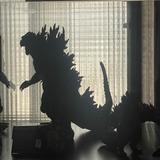 由 _caerus.kaiju_ (刊登 ID 1361852521，圖片 1) 提交，位於 的 (類別：)，說明：。