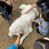 由 a2174565142152 (刊登 ID 1380252887，圖片 1) 提交，位於 的 (類別：)，說明：。