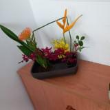 (分類:)位於 。 由 eshun62270 提交(商品編號 1471124457,圖片 1)。簡介: 。