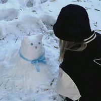 由 jocelynzz (刊登 ID 1386188072，圖片 1) 提交，位於 的 (類別：)，說明：。
