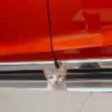 (Kategori: ) berada di . Dikirim oleh wonder.treasures (ID iklan 1366559893, Gambar 1). Deskripsi: .