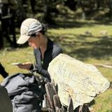 由 at077 (刊登 ID 1385890107，圖片 1) 提交，位於 的 (類別：)，說明：。