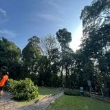 (Category: ) located in . Submitted by haneesh_ (Listing ID 1375470954, Image 1). Description: .