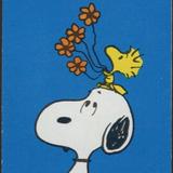 (Category: ) located in . Submitted by snoopy2288 (Listing ID 253902988, Image 1). Description: .