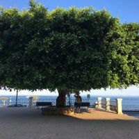 (Category: ) located in . Submitted by newbe1900 (Listing ID 1442795107, Image 1). Description: .