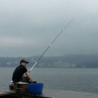(分類:)位於 。 由 fishman88888888 提交(商品編號 1455913486,圖片 1)。簡介: 。