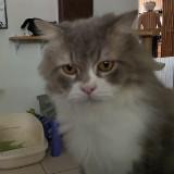 (Category: ) located in . Submitted by sophiekarlo (Listing ID 1270320141, Image 1). Description: .