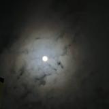 (分類:)位於 。 由 akanefa 提交(商品編號 1372828297,圖片 1)。簡介: 。