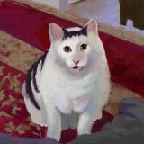 (Category: ) located in . Submitted by johnwenk (Listing ID 1324560910, Image 1). Description: .