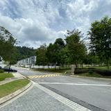 (Category: ) located in . Submitted by cm_collectibles (Listing ID 1340884412, Image 1). Description: .