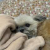 (Category: ) located in . Submitted by aaronchristian (Listing ID 1445164422, Image 1). Description: .