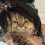 (Category: ) located in . Submitted by dumpleeex (Listing ID 1374652201, Image 1). Description: .