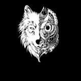 (Kategori: ) berada di . Dikirim oleh owlandwolf (ID iklan 1336380643, Gambar 1). Deskripsi: .