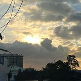 (Category: ) located in . Submitted by ynigos31 (Listing ID 1386032173, Image 1). Description: .