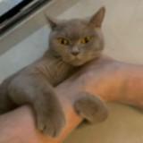 (Category: ) located in . Submitted by coupdefoudre. (Listing ID 1336612976, Image 1). Description: .