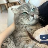 （分類：）位於 。 由 gieee1234 提交（商品編號 1369378002，圖片 1）。簡介： 。