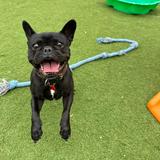 (Category: ) located in . Submitted by venussii (Listing ID 238262476, Image 1). Description: .