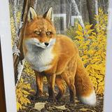 (Category: ) located in . Submitted by foxx23 (Listing ID 1368168298, Image 1). Description: .