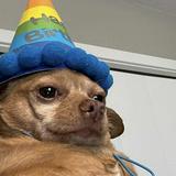 (Category: ) located in . Submitted by kidbizzle (Listing ID 1372820277, Image 1). Description: .