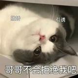 由 mamamamabb (刊登 ID 1385418933，圖片 1) 提交，位於 的 (類別：)，說明：。