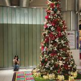 (Category: ) located in . Submitted by emmabluee (Listing ID 1272673237, Image 1). Description: .