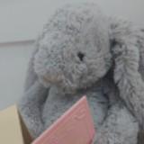 (Category: ) located in . Submitted by bijwhatokay (Listing ID 1438124546, Image 1). Description: .