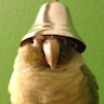 (Category: ) located in . Submitted by blahblahburp (Listing ID 1433596061, Image 1). Description: .