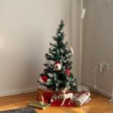(Category: ) located in . Submitted by Amy313 (Listing ID 1366605838, Image 1). Description: .